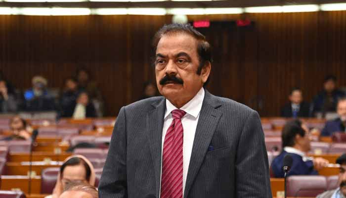 Rana Sanaullah Signals Imminent Move to Table 28th Constitutional Amendment